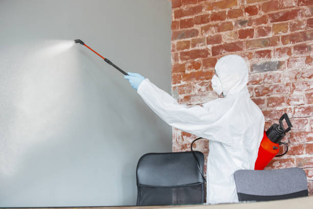 Best Comprehensive Air Testing for Mold Contaminants  in Perryman, MD