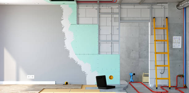 Best Attic Mold Removal  in Perryman, MD