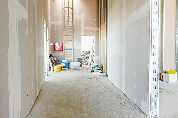 Best Real Estate Mold Inspection  in Perryman, MD